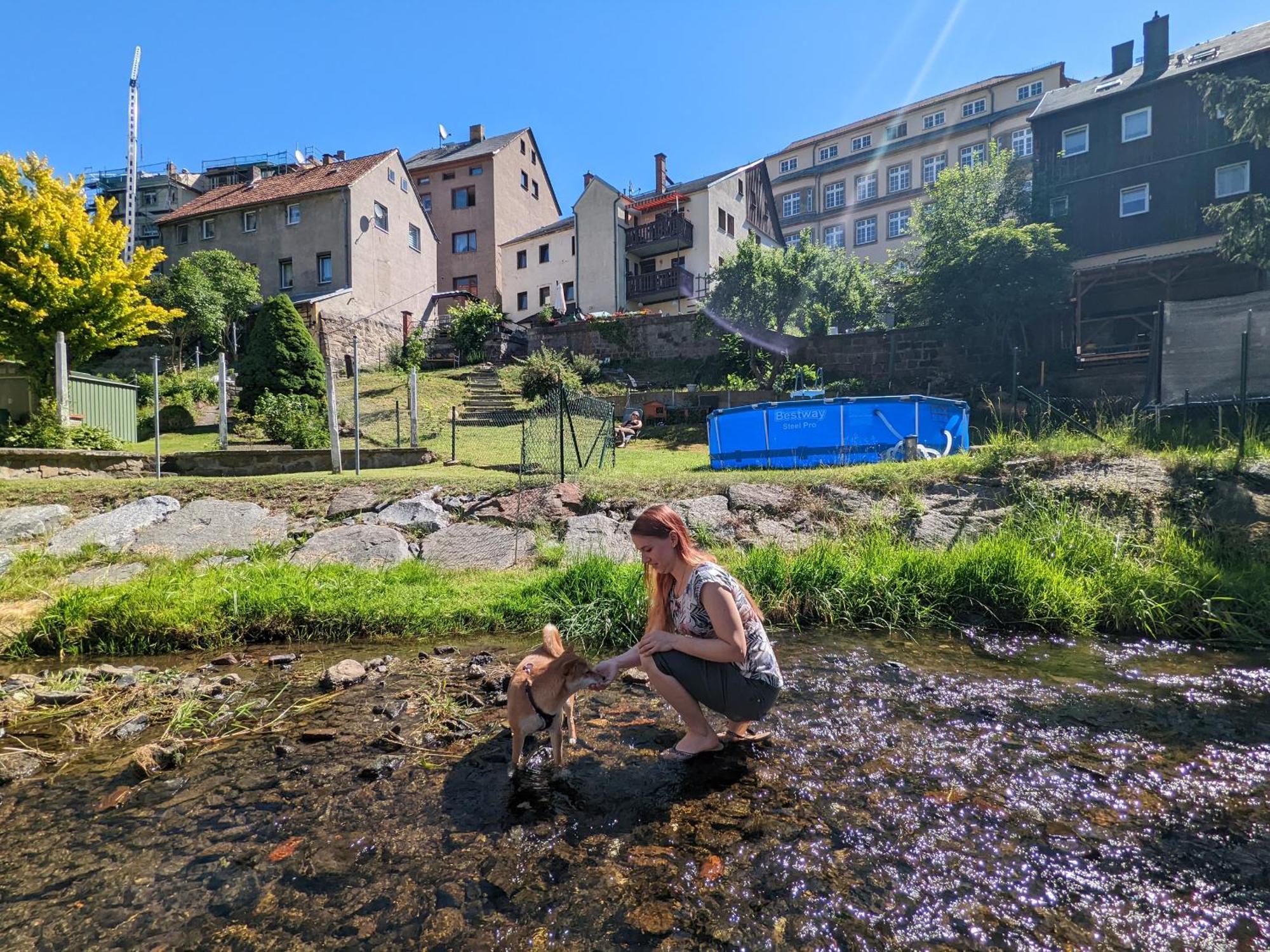 F1 - Urlaubsmagie - Helle Wohnung Mit Sauna & Pool & Whirlpool Зебниц Экстерьер фото