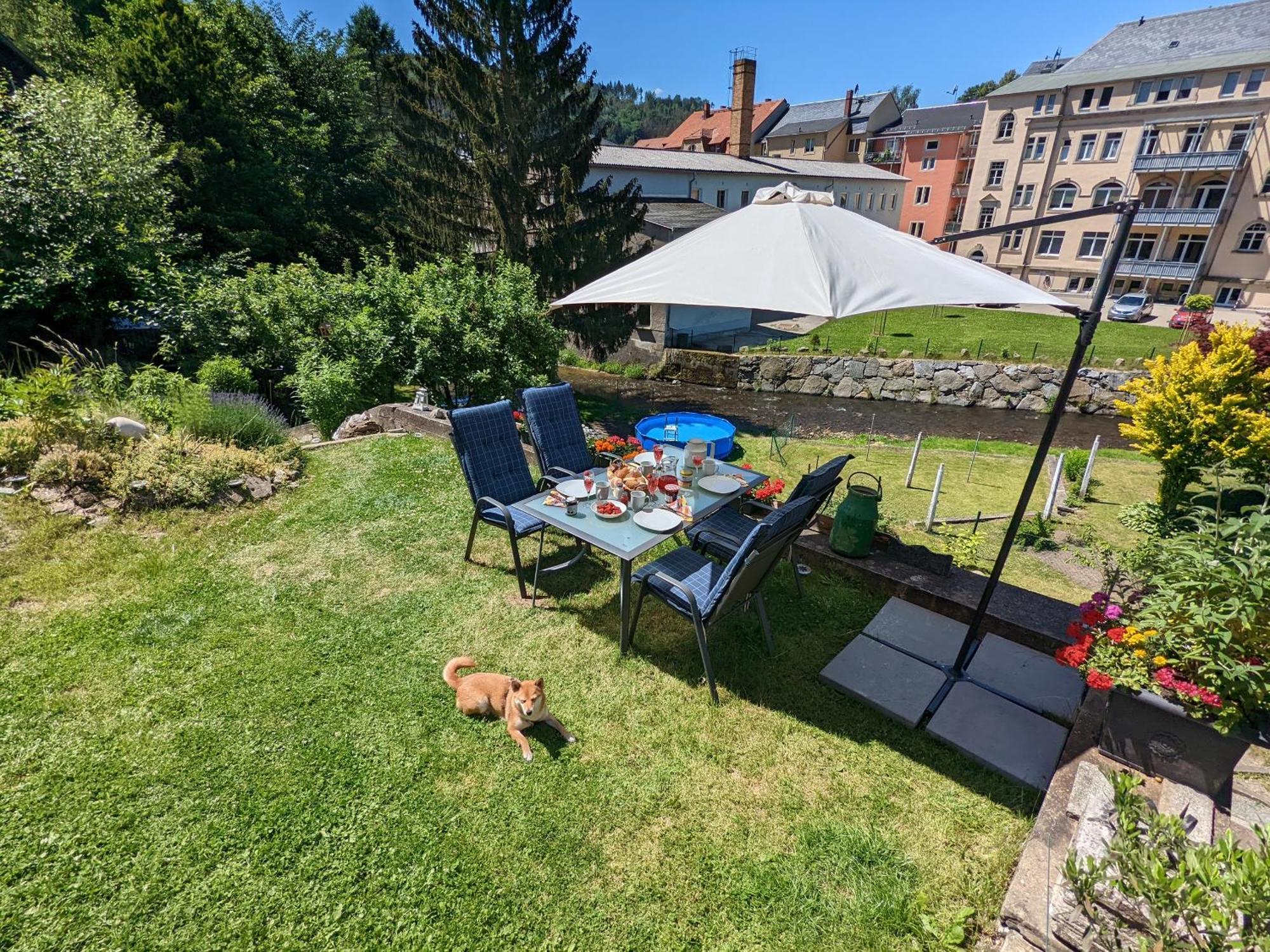 F1 - Urlaubsmagie - Helle Wohnung Mit Sauna & Pool & Whirlpool Зебниц Экстерьер фото
