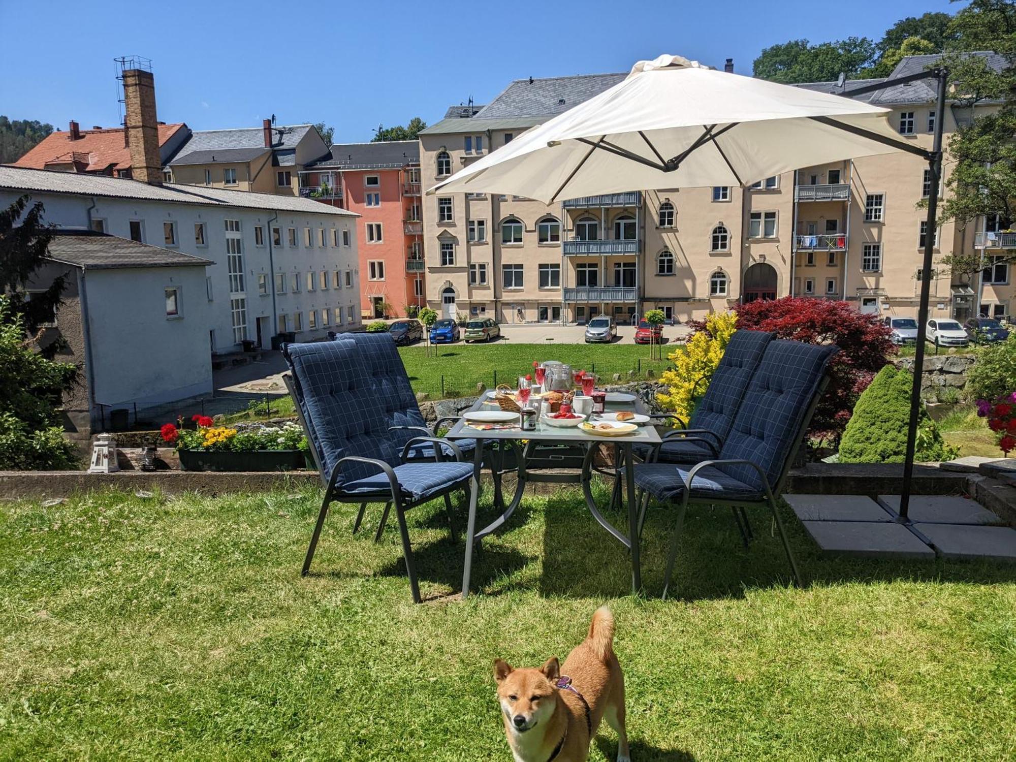 F1 - Urlaubsmagie - Helle Wohnung Mit Sauna & Pool & Whirlpool Зебниц Экстерьер фото