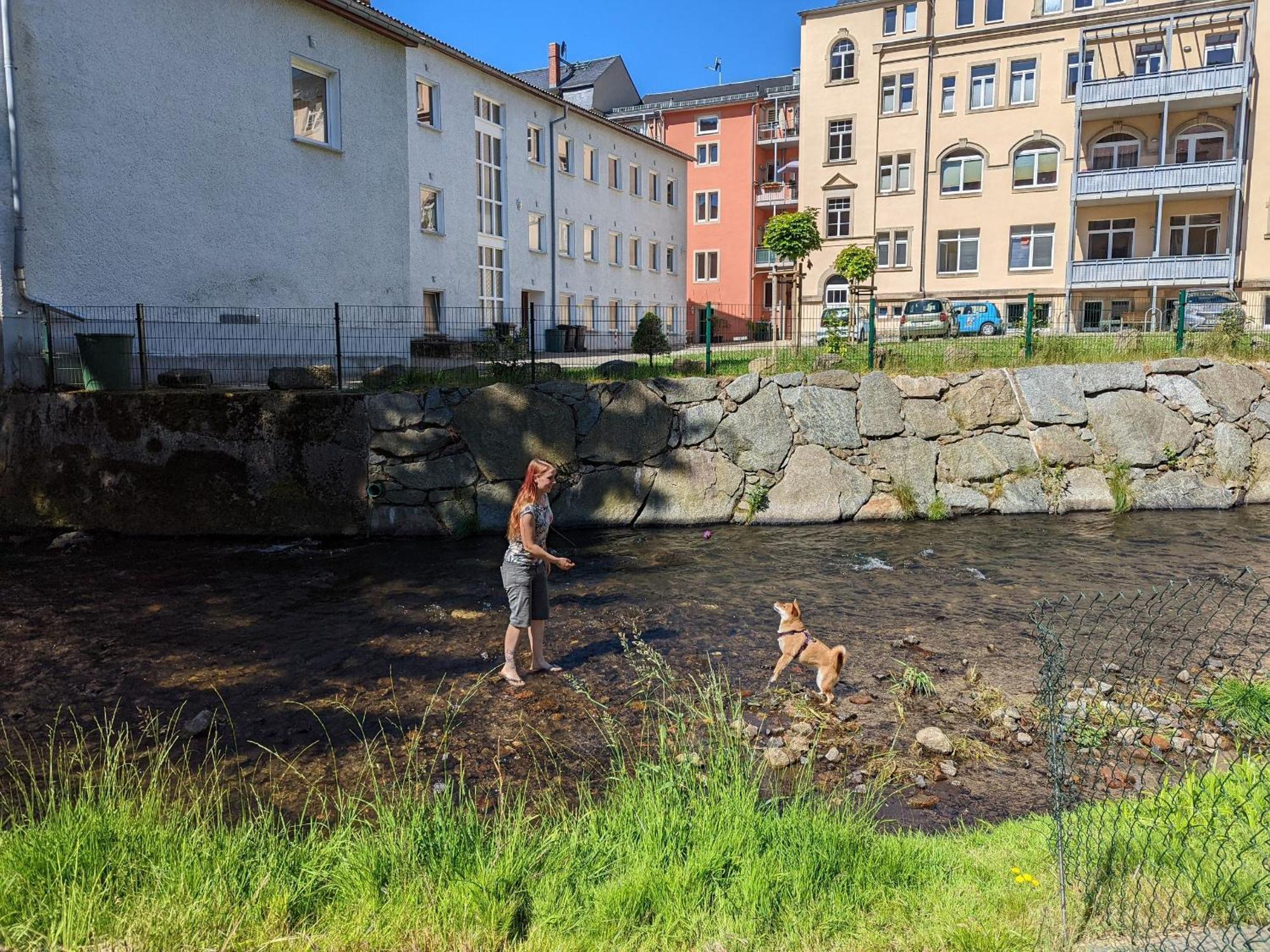 F1 - Urlaubsmagie - Helle Wohnung Mit Sauna & Pool & Whirlpool Зебниц Экстерьер фото