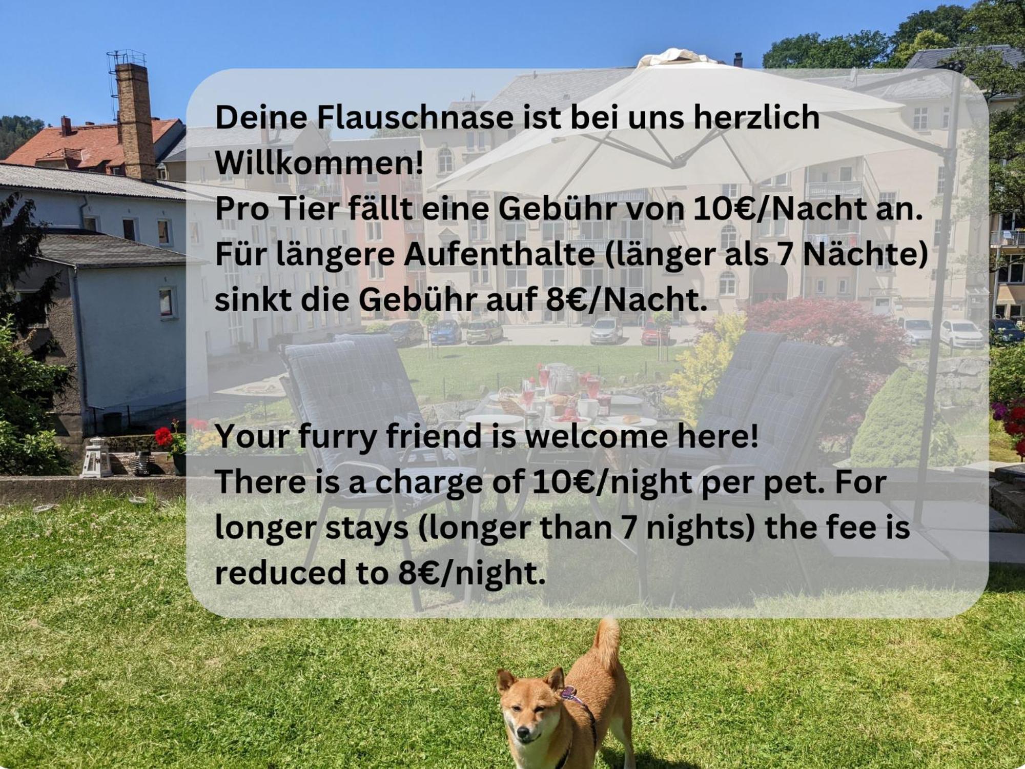 F1 - Urlaubsmagie - Helle Wohnung Mit Sauna & Pool & Whirlpool Зебниц Экстерьер фото